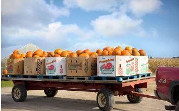 About our farm operations
